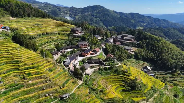 紫鹊界梯田：农耕文化助力解锁文旅新体验