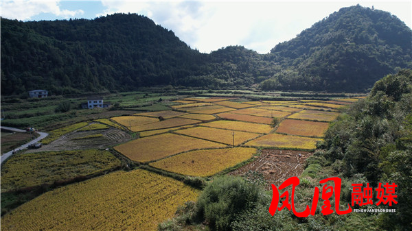航拍素材[00_10_15][20251010-143459].jpg
