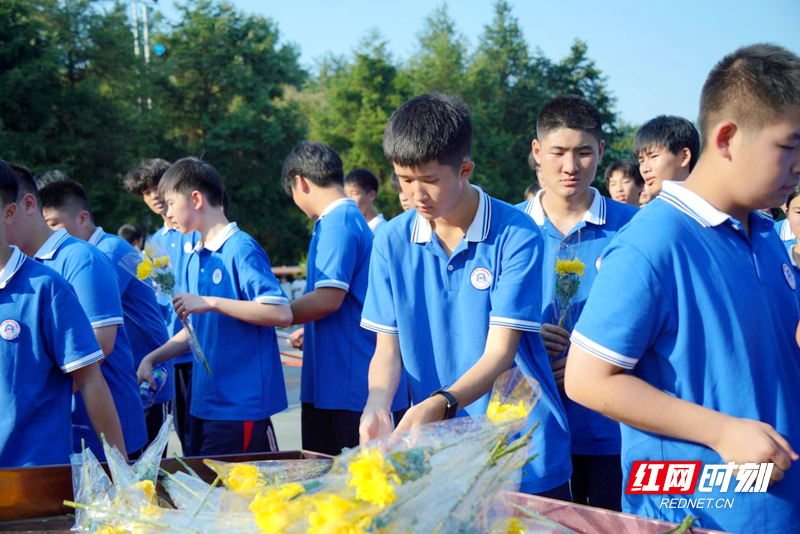 图片3.png 图片3.png