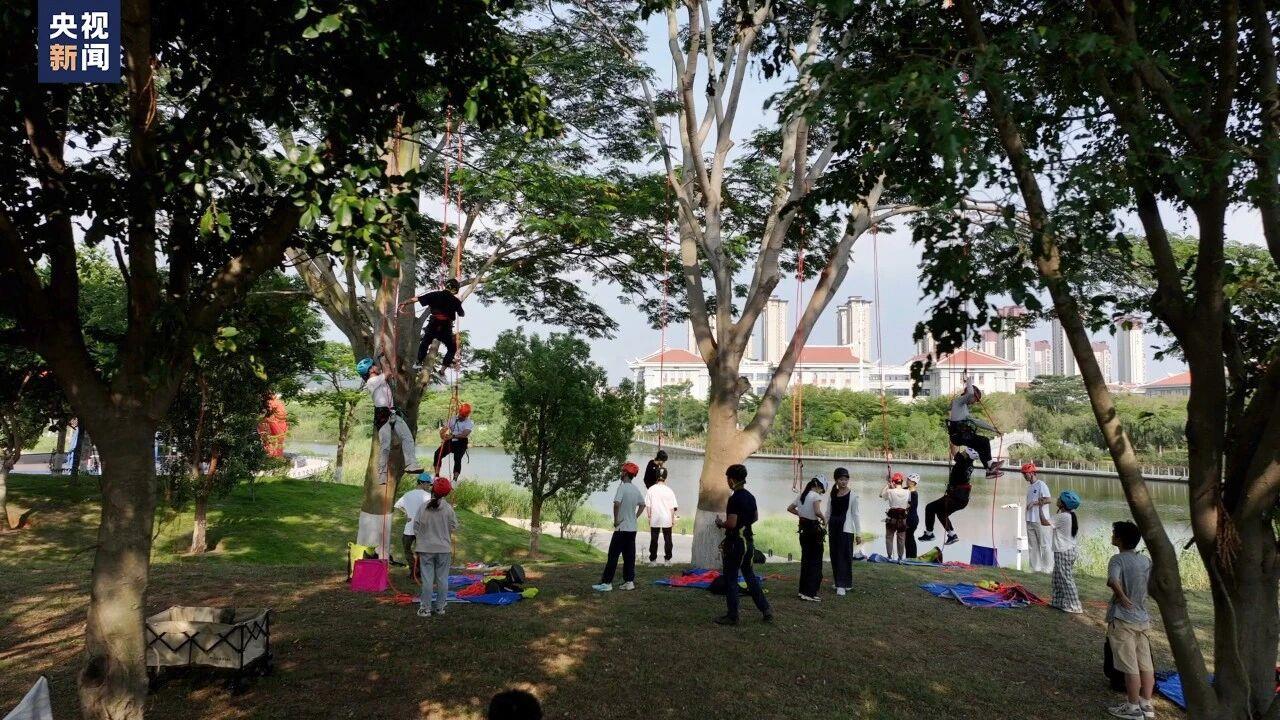 青春篇丨“爬树”能赚学分吗？这所大学的“树