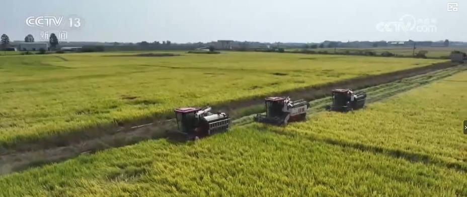 全国秋粮丰收超50%！全程机械化为秋季增产保驾