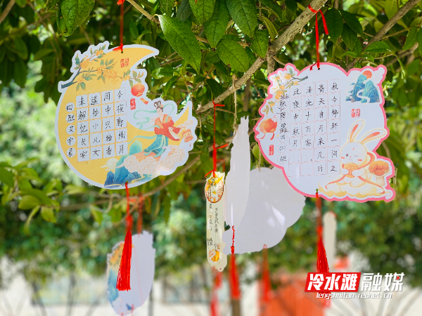 微信图片_20251011143529_99_251.jpg
