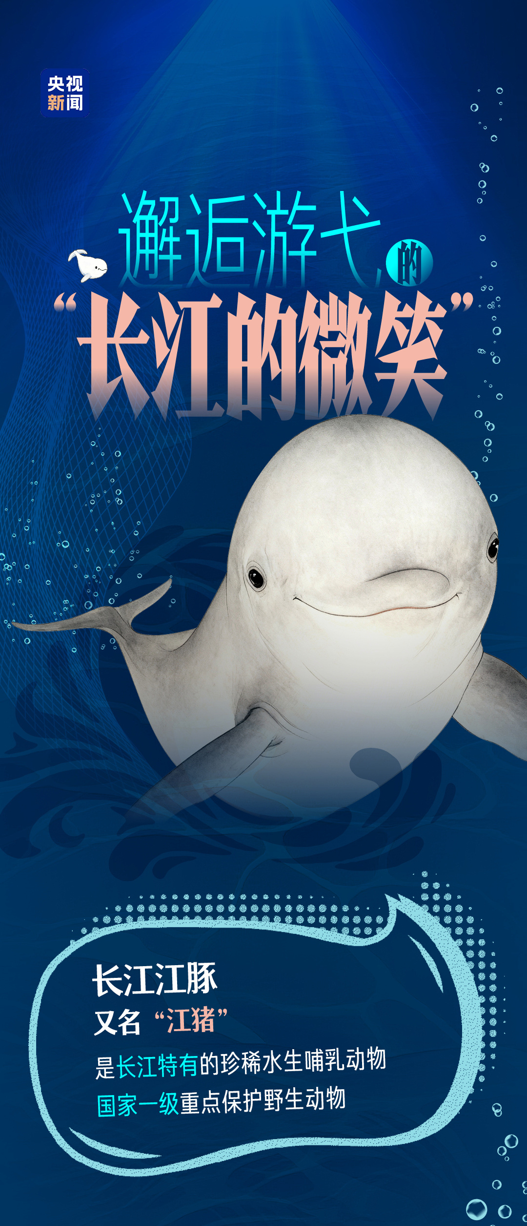 青春篇章丨游弋中寻找“长江微笑”