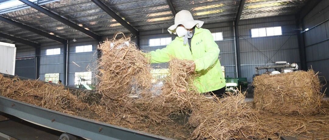 厉害了浏阳！秸秆做成烟花底座，实现双赢