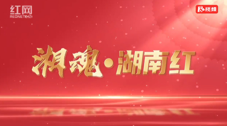 湘魂·湖南红 | 杰出的革命先驱罗亦农