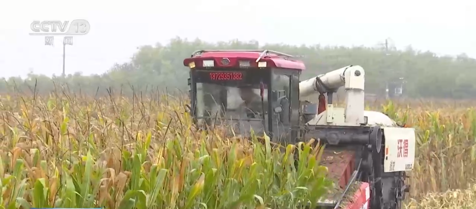 “干”字当头!各地多举措保“三秋”生产 全力守护群众“粮袋子”