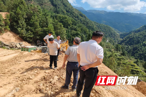 中都乡党委书记巡查中都林场.jpg