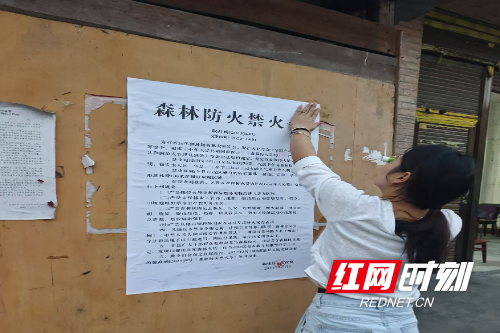 中都村张贴森林防火禁火宣传纸.jpg