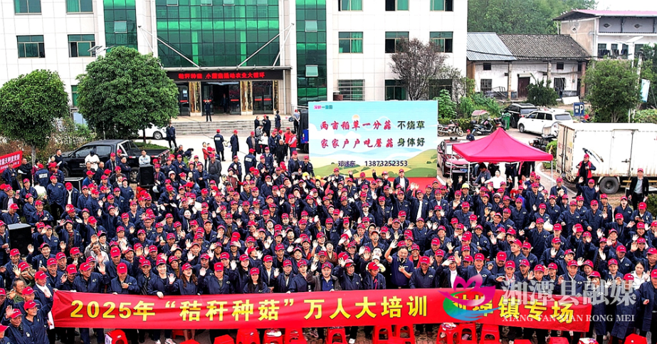 图片111.png 图片111.png