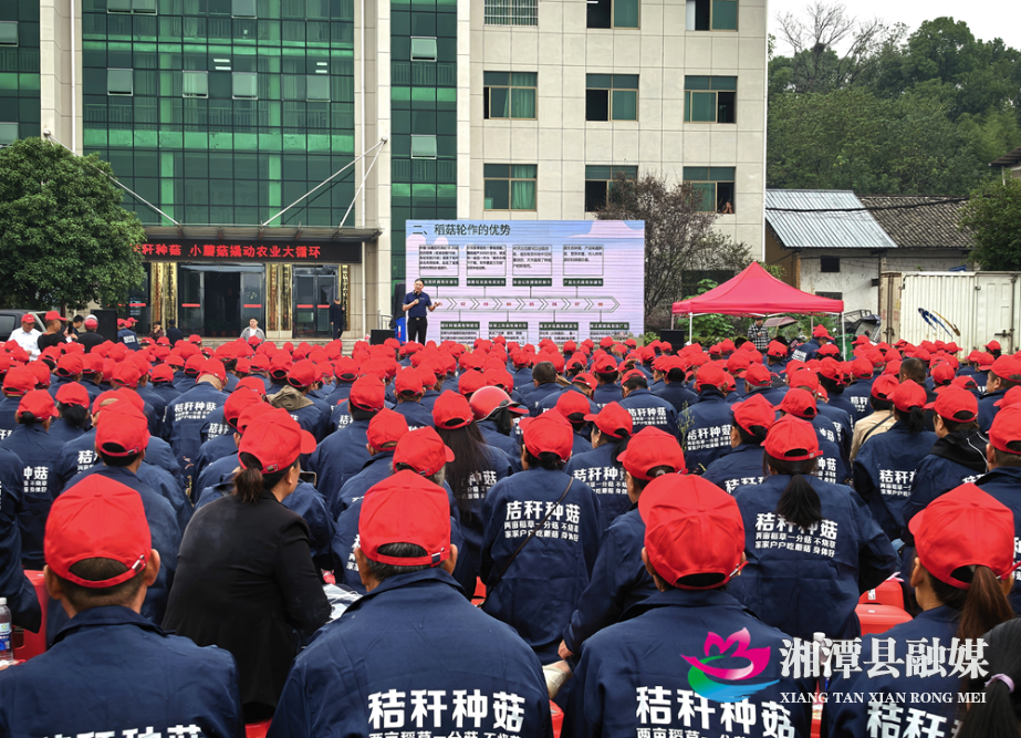 图片222.png 图片222.png