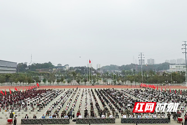 93.jpg