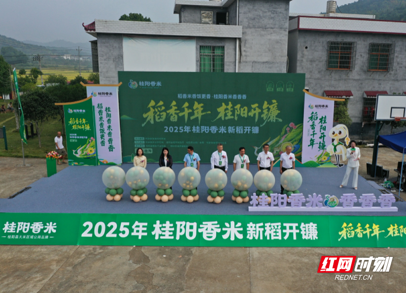 红2.jpg