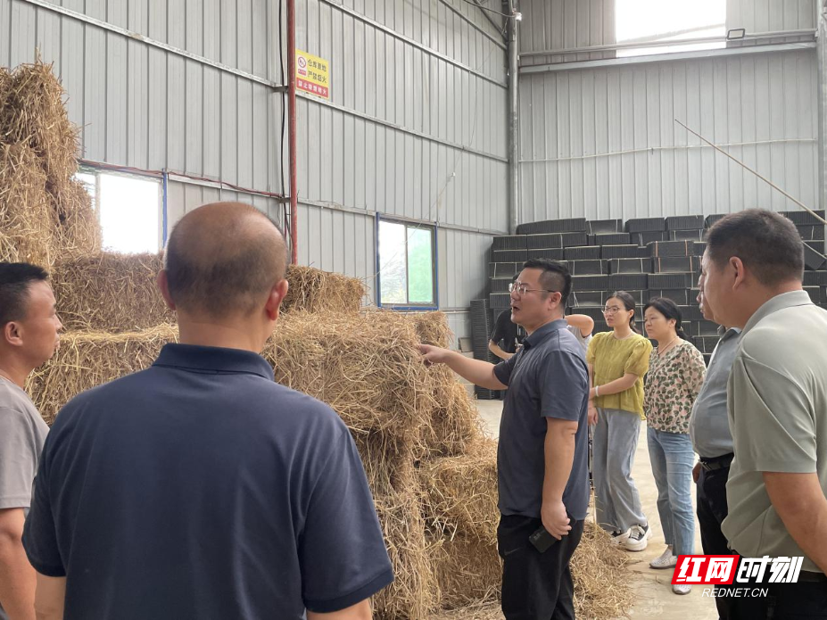 图片11.png 图片11.png