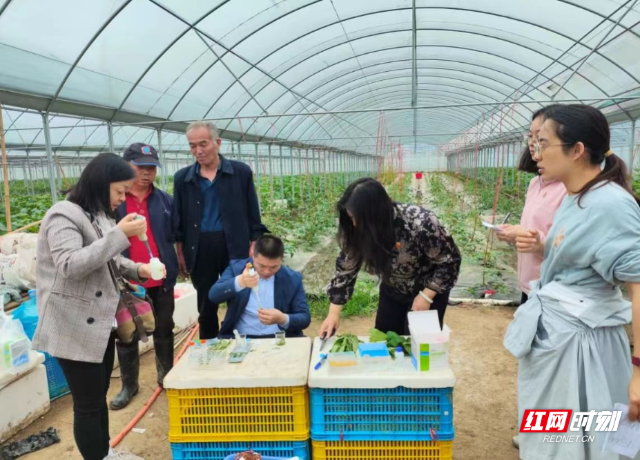 图片10.png 图片10.png