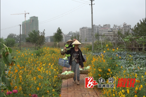 微信截图_20251016183143.png