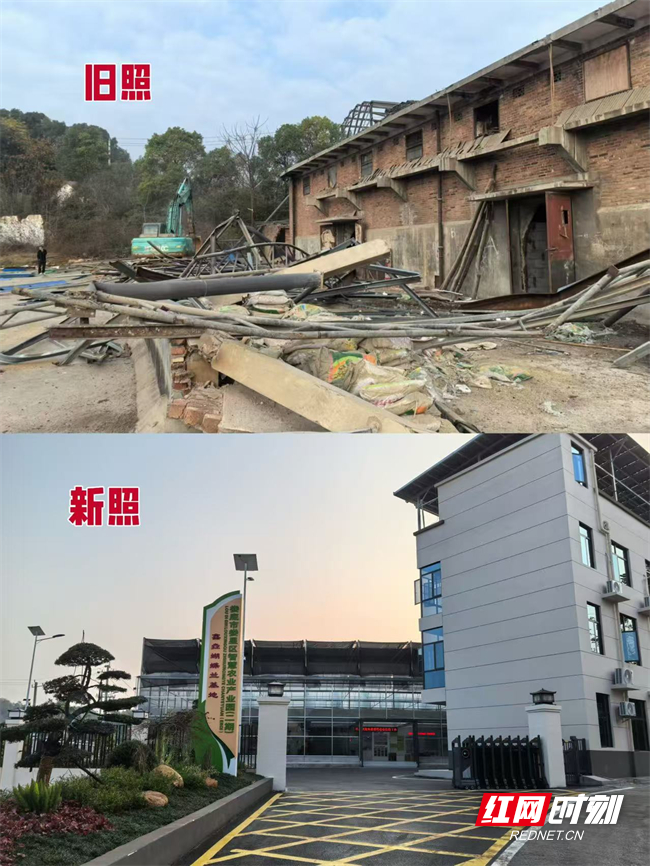 图片4.jpg