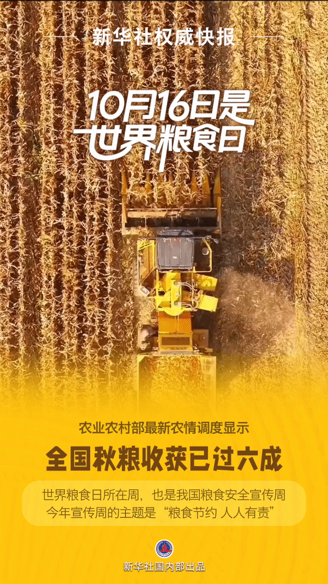 新华社|小心“食物”灯！世界粮食日：“碗碗”