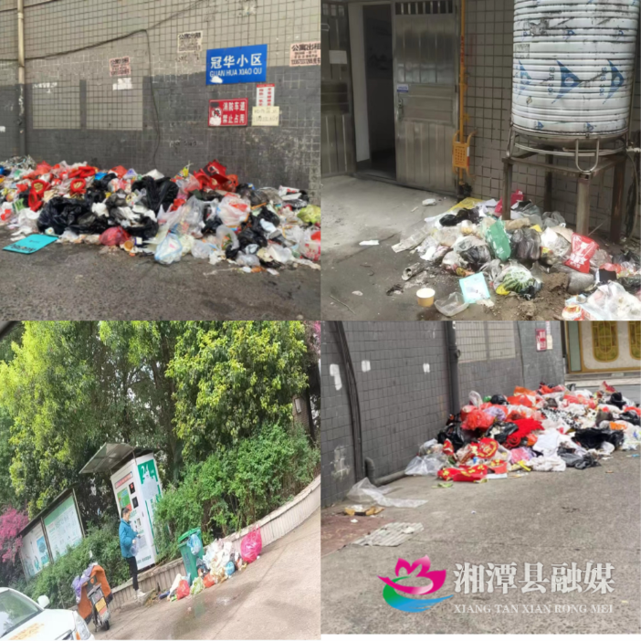 图片04.png