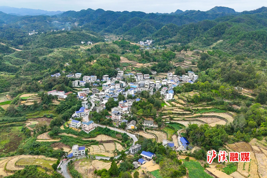 养蜂子.jpg1.jpg2.jpg 养蜂子.jpg1.jpg2.jpg