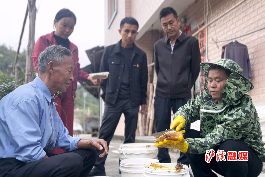 养蜂子.jpg 养蜂子.jpg