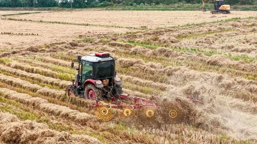 组图丨汉寿县洲口镇田园新景:秸杆打包运作他用