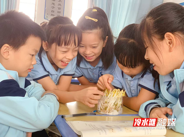 微信图片_20251020085019_173_50.jpg