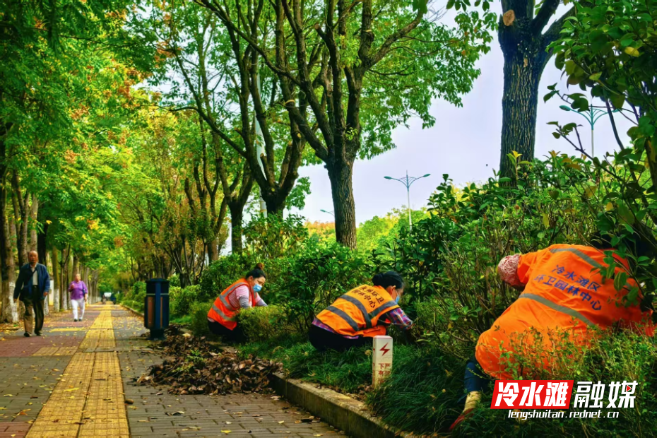 图片5.png