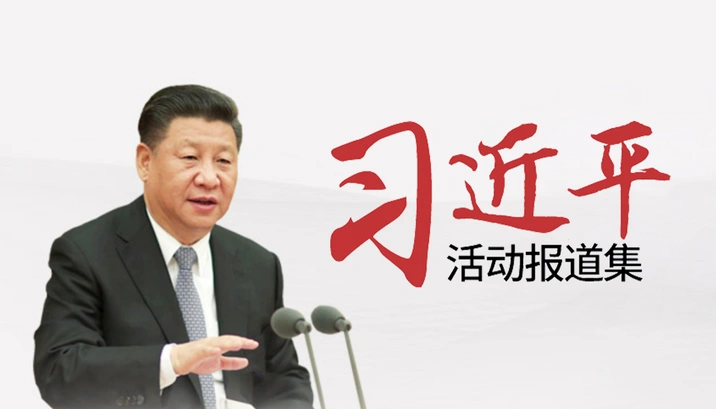 习近平报道集