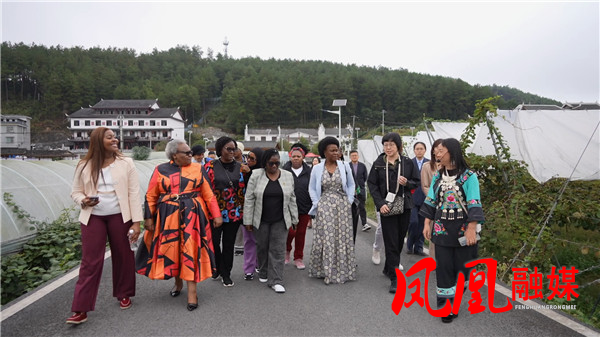 南部非洲政党妇女干部研修班一行赴凤凰县调[00_08_31][20251020-153202].jpg