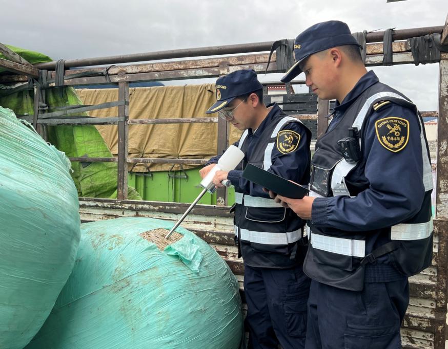 西藏口岸进口青贮饲料1000余吨。 “千吨计划”推