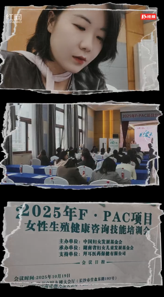 记者观会vlog