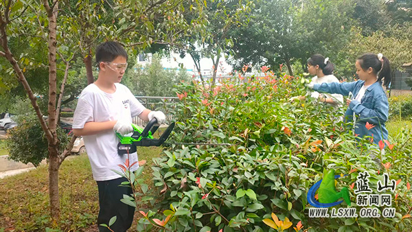 湘江源中学：修剪绿植释压力，劳动实践助成长.jpg