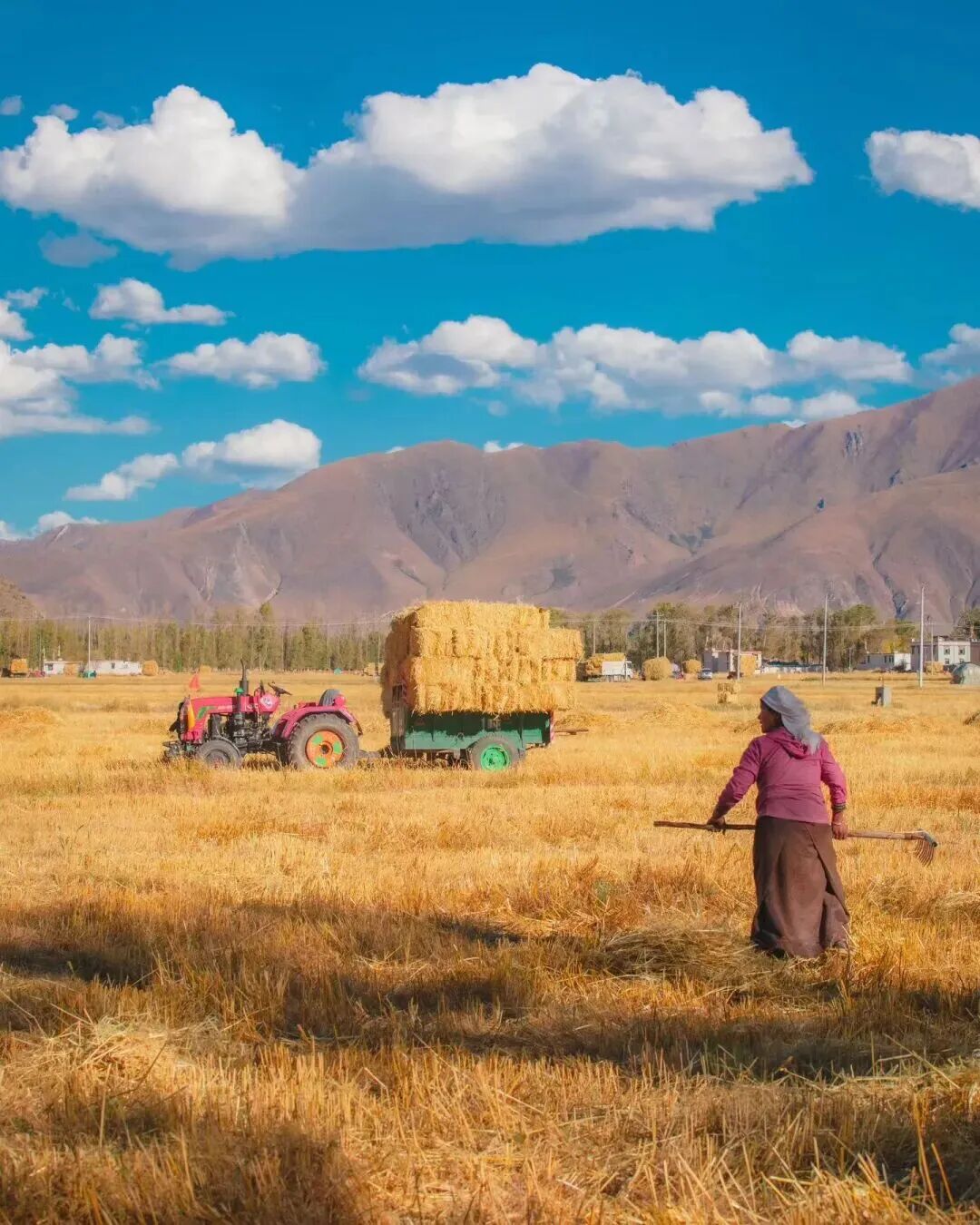 西藏这里的秋天景色真是太美了！