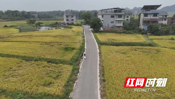 微信图片_20251021201050_159_6.jpg