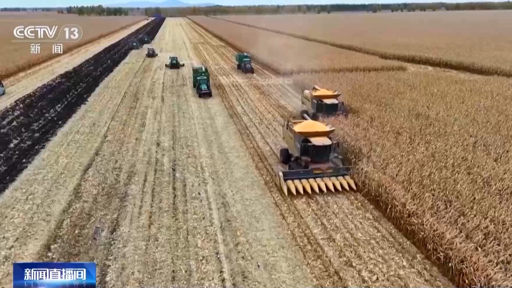 秋收进入冲刺阶段，各地纷纷采取措施，确保粮