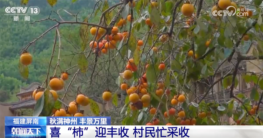 传统与现代融合“交响” 古村落呈现“人来、村活、业兴、文盛”繁荣景象