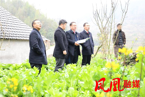 图片10.jpg 图片10.jpg