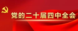 党的二十届四中全会