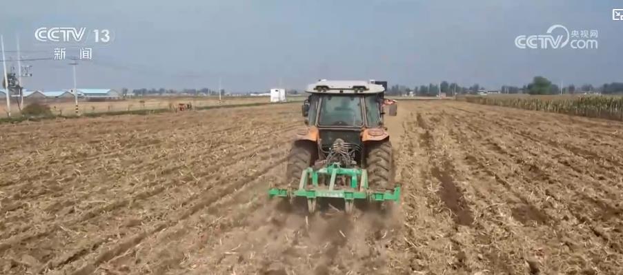 多地抗秋汛抢麦播:农技指导+农机作业 全力推进小麦种植