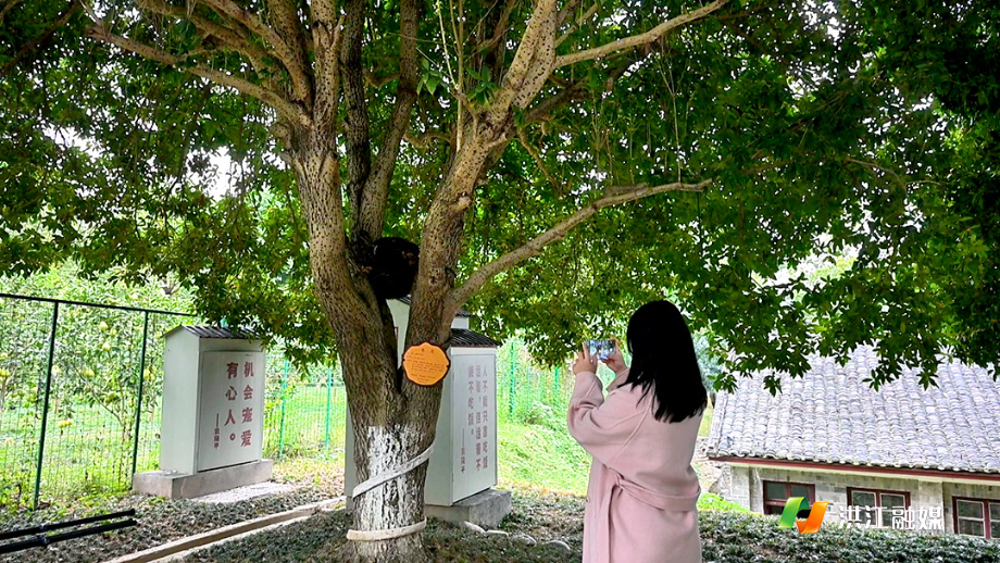 微信图片_20251023164336.jpg 微信图片_20251023164336.jpg