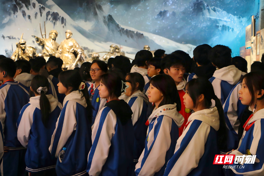 IMG_8433.JPG IMG_8433.JPG