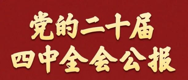 党的二十届四中全会公报一图速览