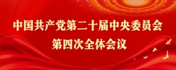中国共产党第二十届中央委员会第四次全体会议