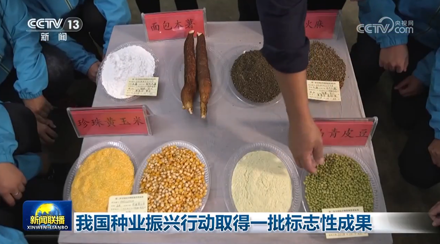 我国种业振兴行动取得一批标志性成果