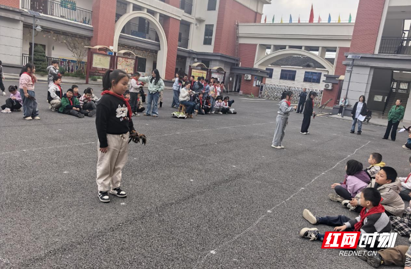 图片9.png 图片9.png