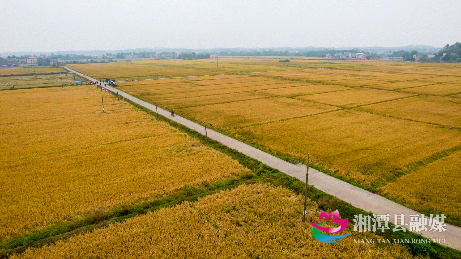 微信图片_20251027151743_40_318_看图王.gif 微信图片_20251027151743_40_318_看图王.gif