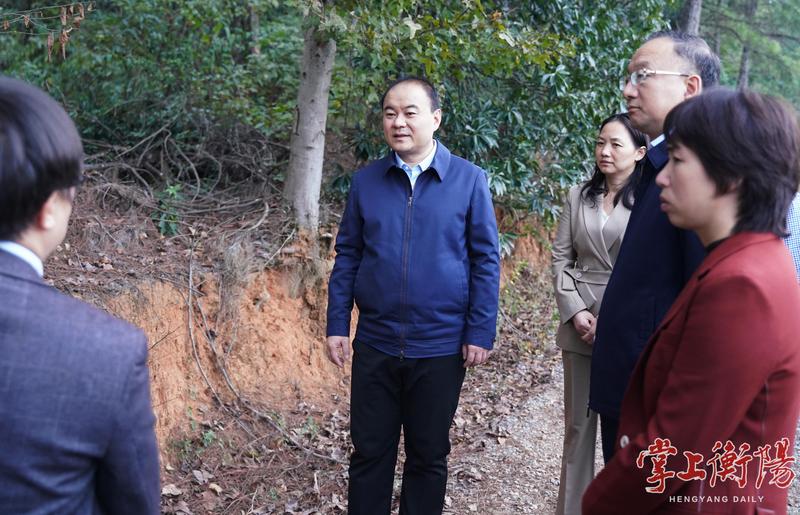 ▲朱健开展巡林工作。