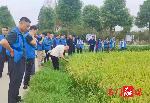 微信图片_20251027171305_27_195.jpg 微信图片_20251027171305_27_195.jpg