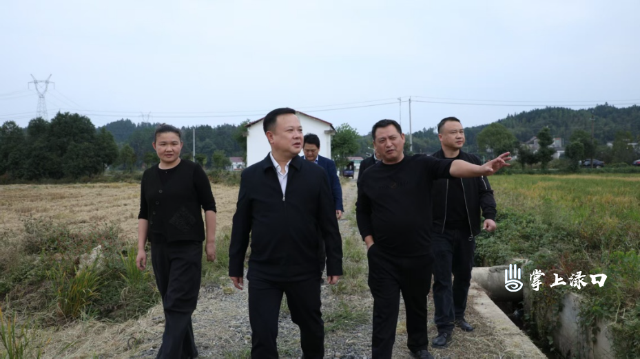 微信图片_20251028170458_3607_26.jpg 微信图片_20251028170458_3607_26.jpg