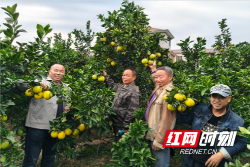 QQ20251027-225256.png QQ20251027-225256.png